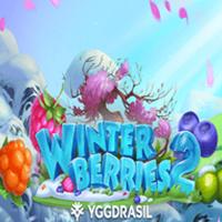 Winterberries 2